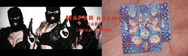 прущие грибы Алзамай