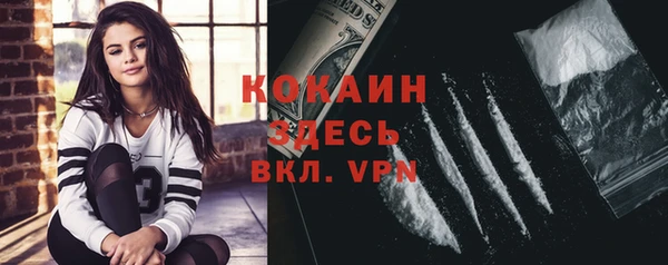 прущий лед Алексин