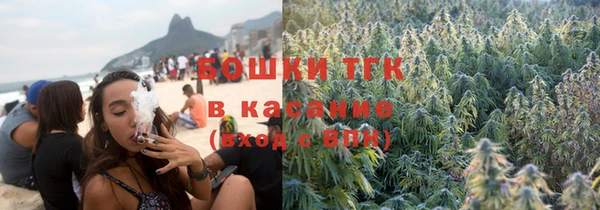 прущие грибы Алзамай
