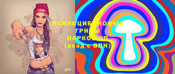 прущие грибы Алзамай