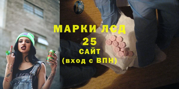 прущие грибы Алзамай
