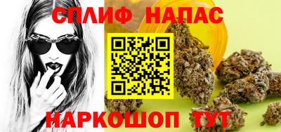 гашик Гусев