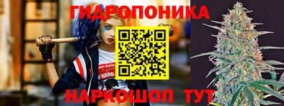 прущие грибы Гусь-Хрустальный