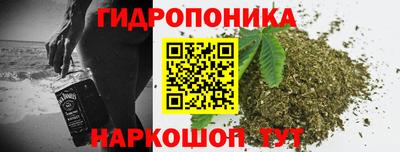 гашик Гусев