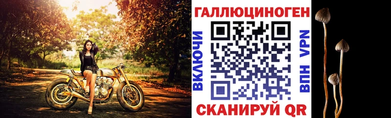Псилоцибиновые грибы GOLDEN TEACHER  Котельники 