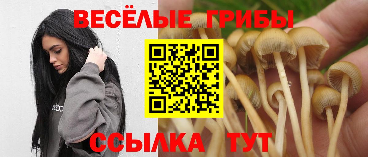 Котельники  Галлюциногенные грибы мицелий  Вход с VPN 